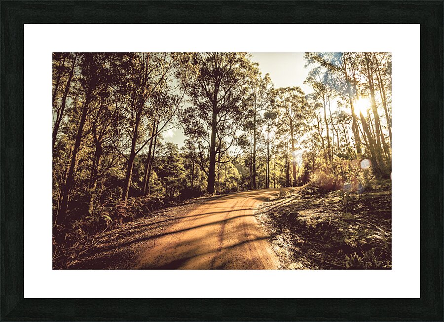 Off road trails Picture Frame print