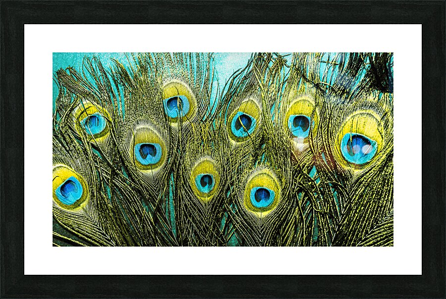 Exoticism  Picture Frame print