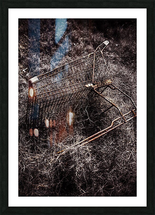 The not so great reset Picture Frame print