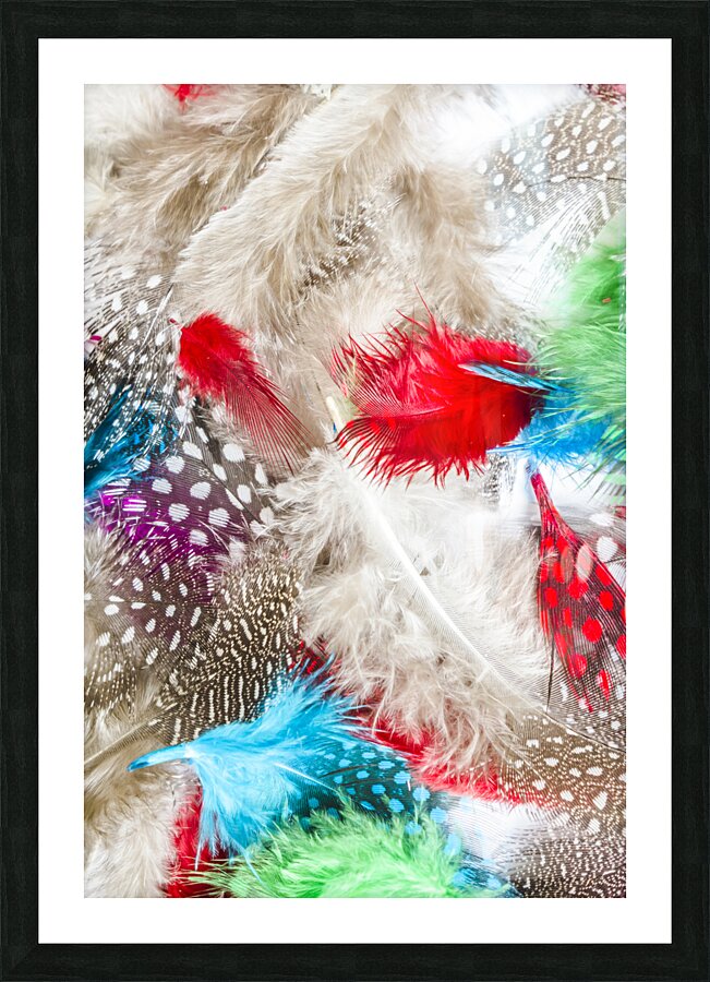 In quill colors Picture Frame print