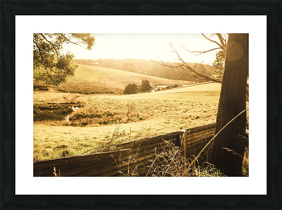 Sun drenched country Picture Frame print