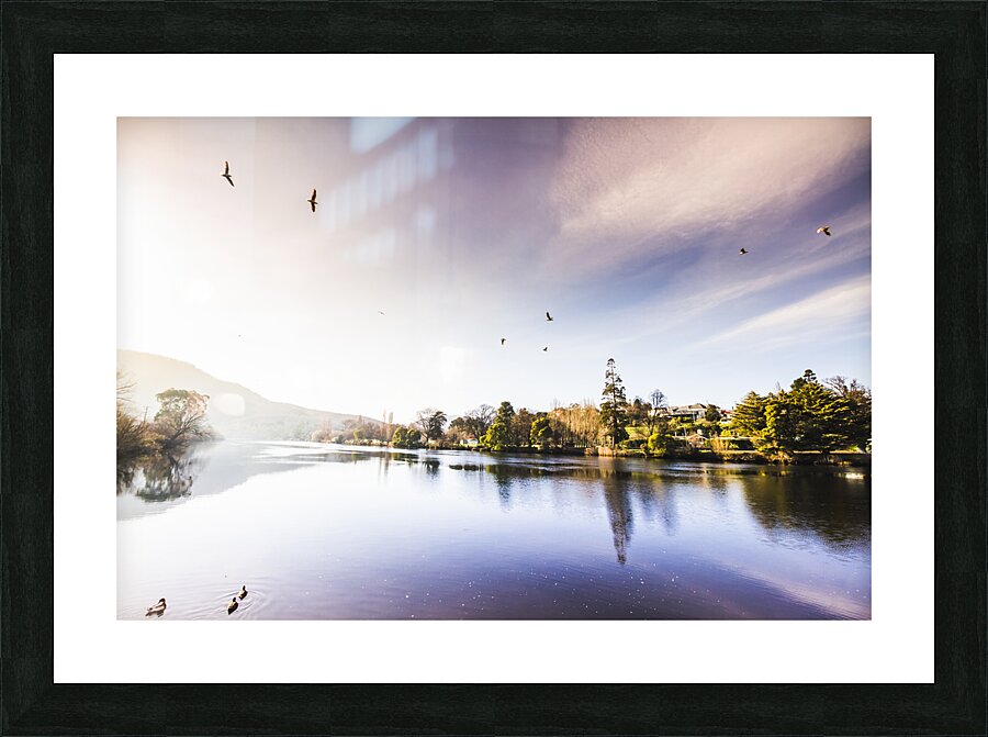 Derwent River reflections Picture Frame print