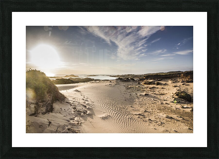 Summer oasis Picture Frame print