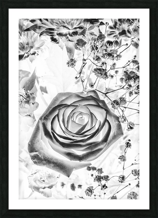 Harmonics inverted Picture Frame print