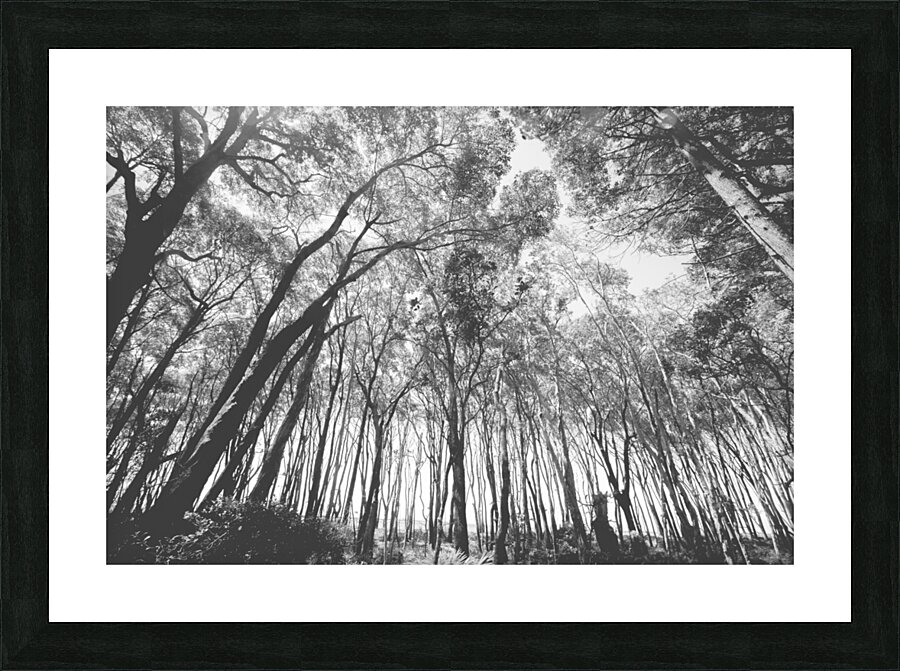 Parallels Picture Frame print