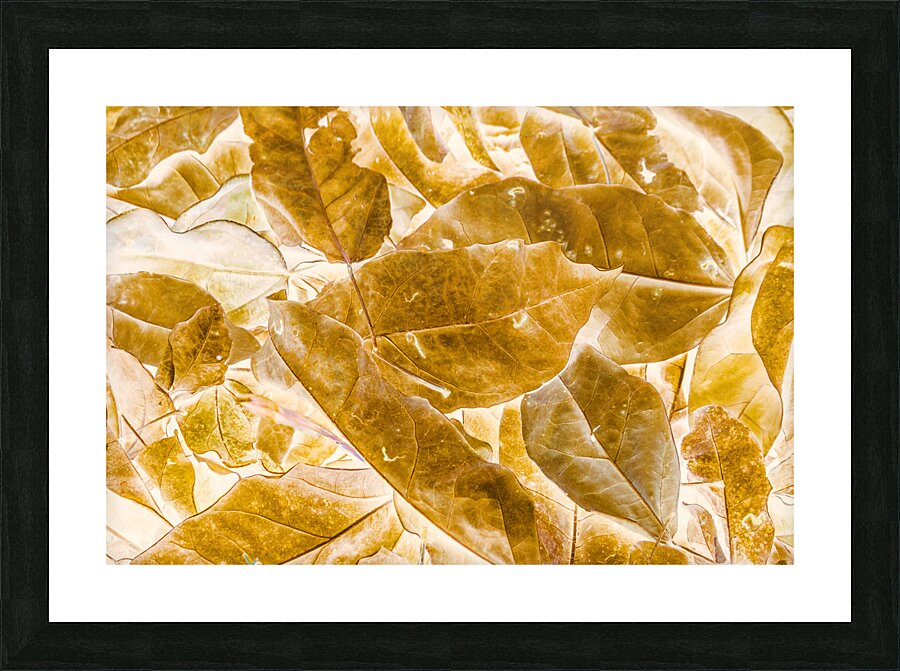 Seasonal gold Picture Frame print