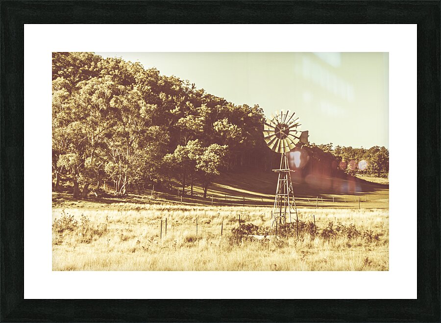 Mathinna farmyard field Picture Frame print