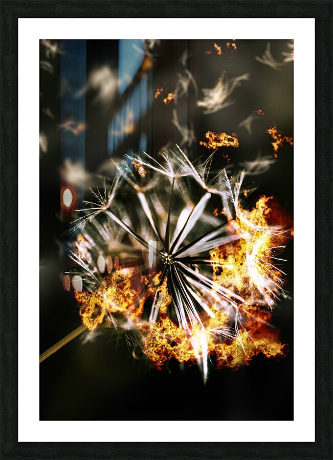 Splinters of finality Picture Frame print