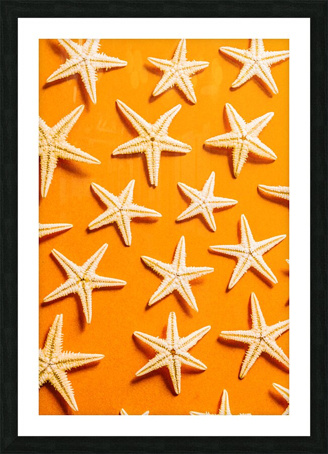 Seaing stars Picture Frame print