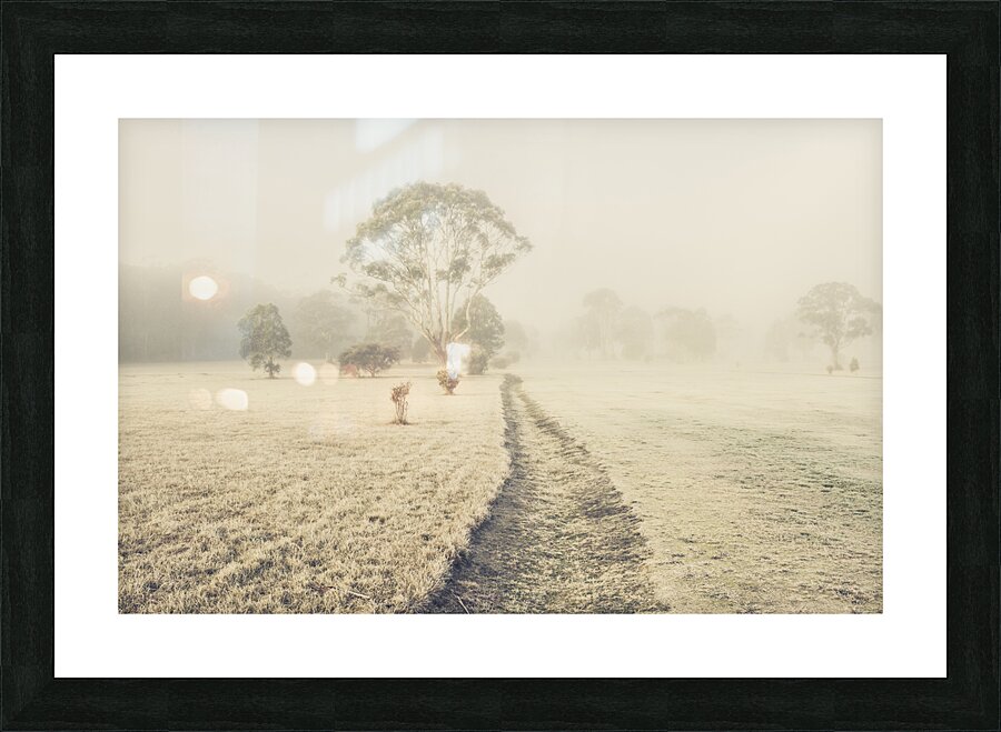 Winter Tasmania background Picture Frame print