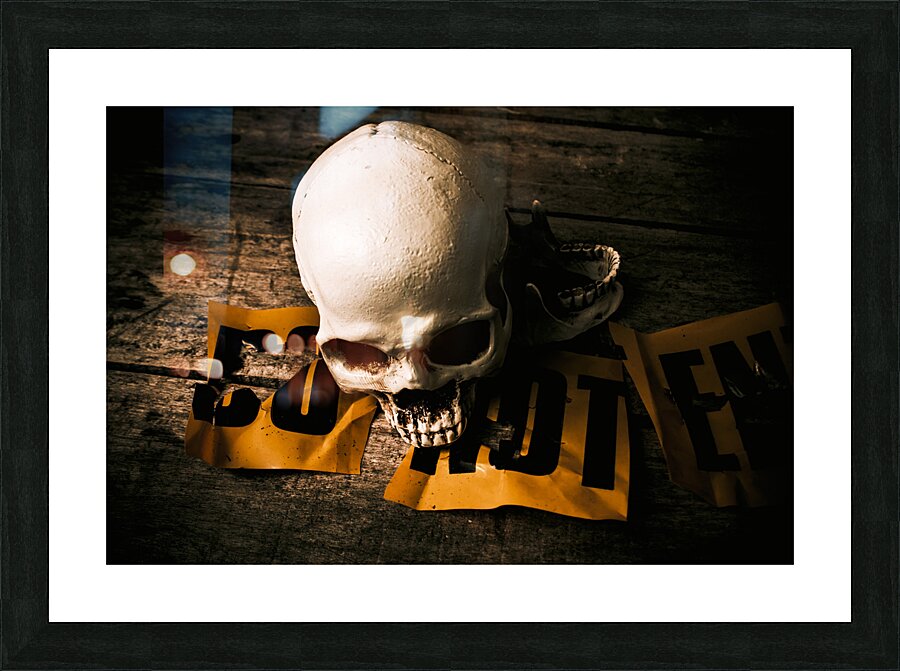 Skull and cross-examination  Picture Frame print