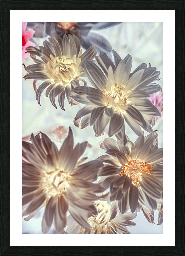 Electric beauty Picture Frame print