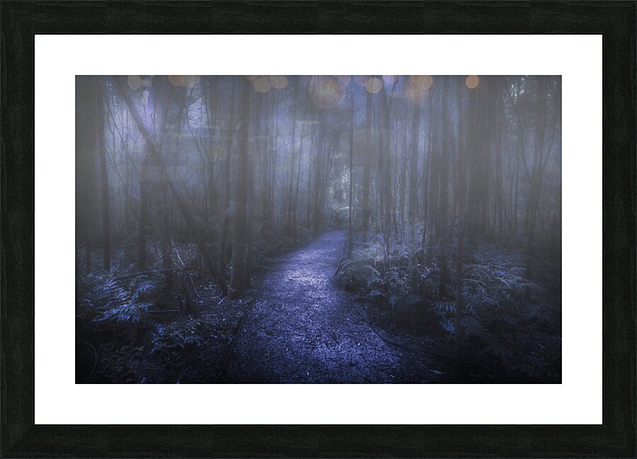Mystery pathway Picture Frame print