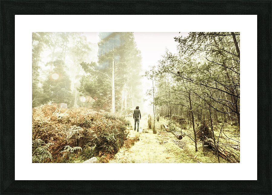 Mysterious trail Picture Frame print