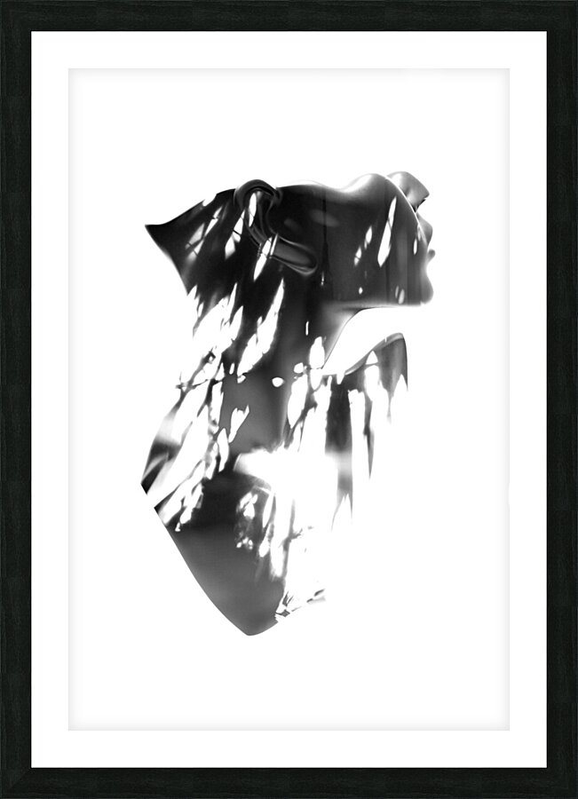 The inner core Picture Frame print