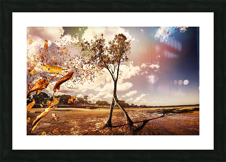 Tree leaves on a sea change Picture Frame print