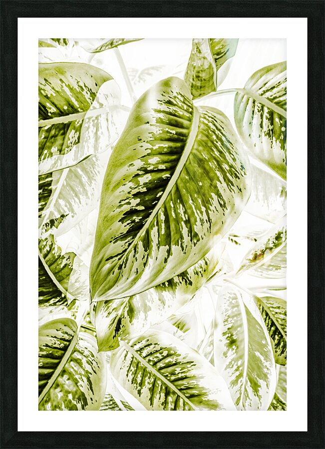 Jungle greens Picture Frame print