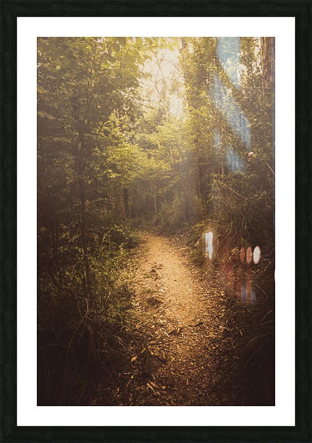 Trailing mystery Picture Frame print