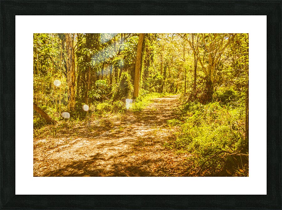 Island inland Picture Frame print