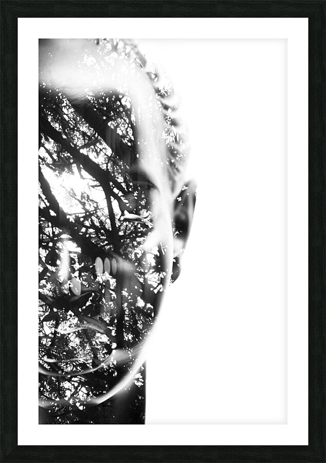 In Vision Picture Frame print