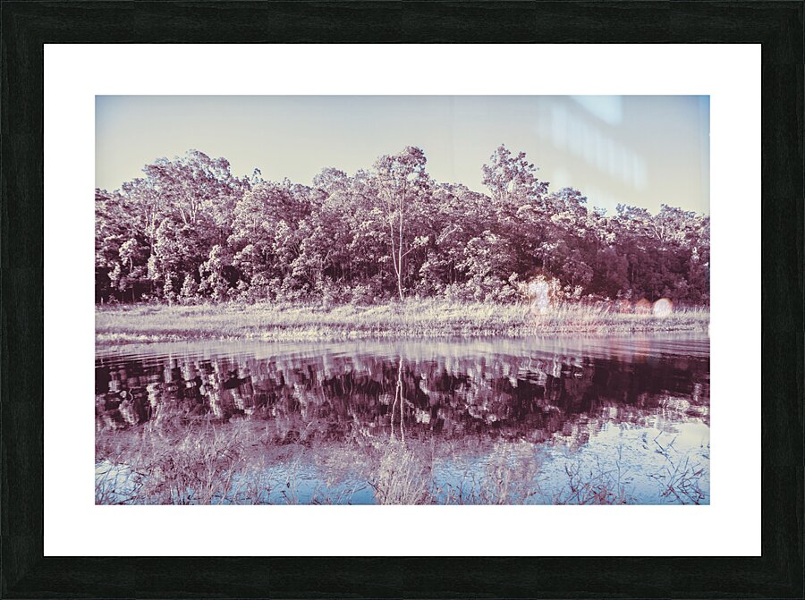 Wild Frost Picture Frame print