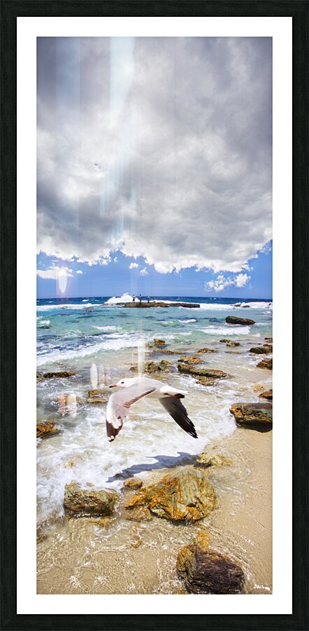 A Flight Of Hope Picture Frame print