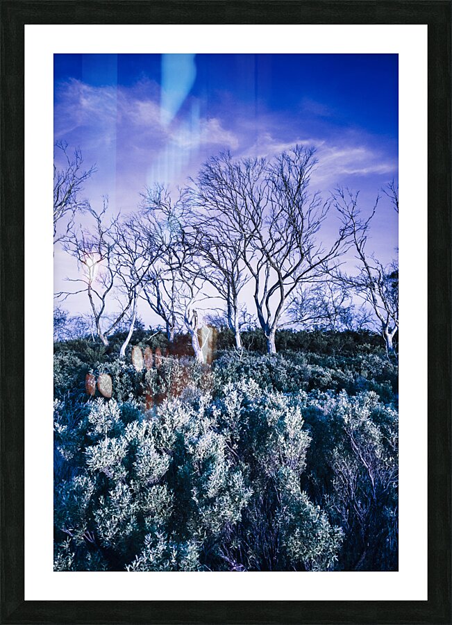 Halloween woodland Picture Frame print