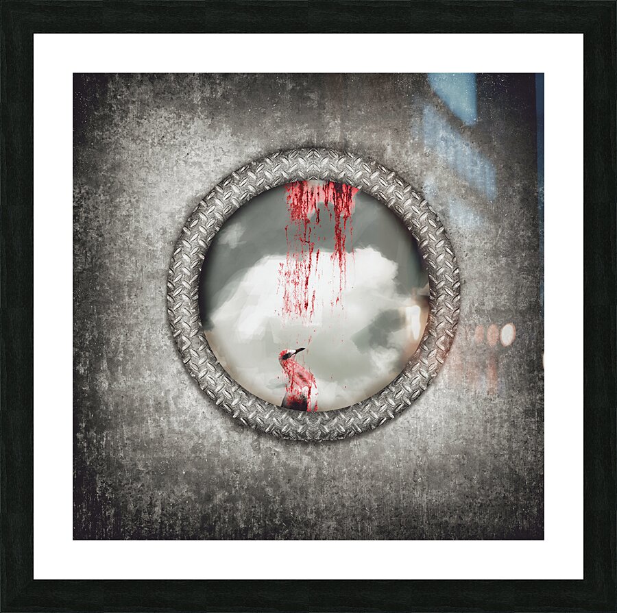 The gull who could no longer sea Picture Frame print