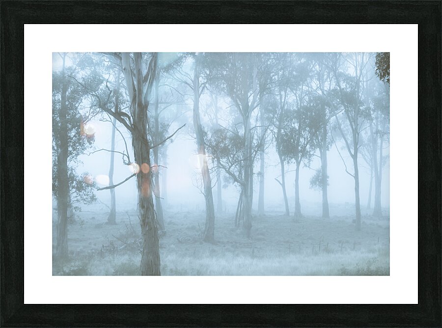 Wild blue woodland Picture Frame print