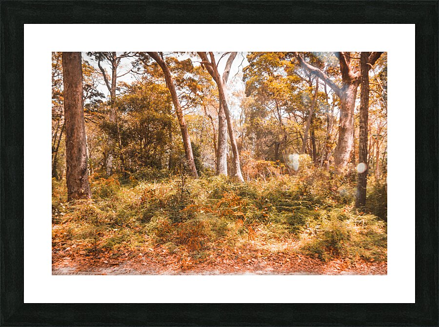 Falls Undergrowth  Picture Frame print