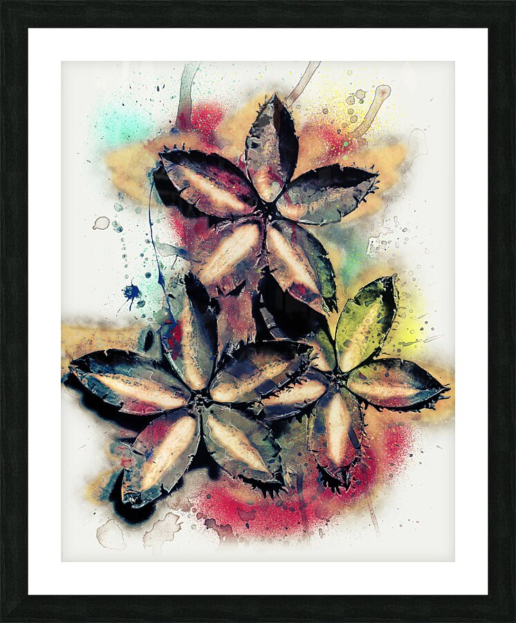 Tropical wash Picture Frame print