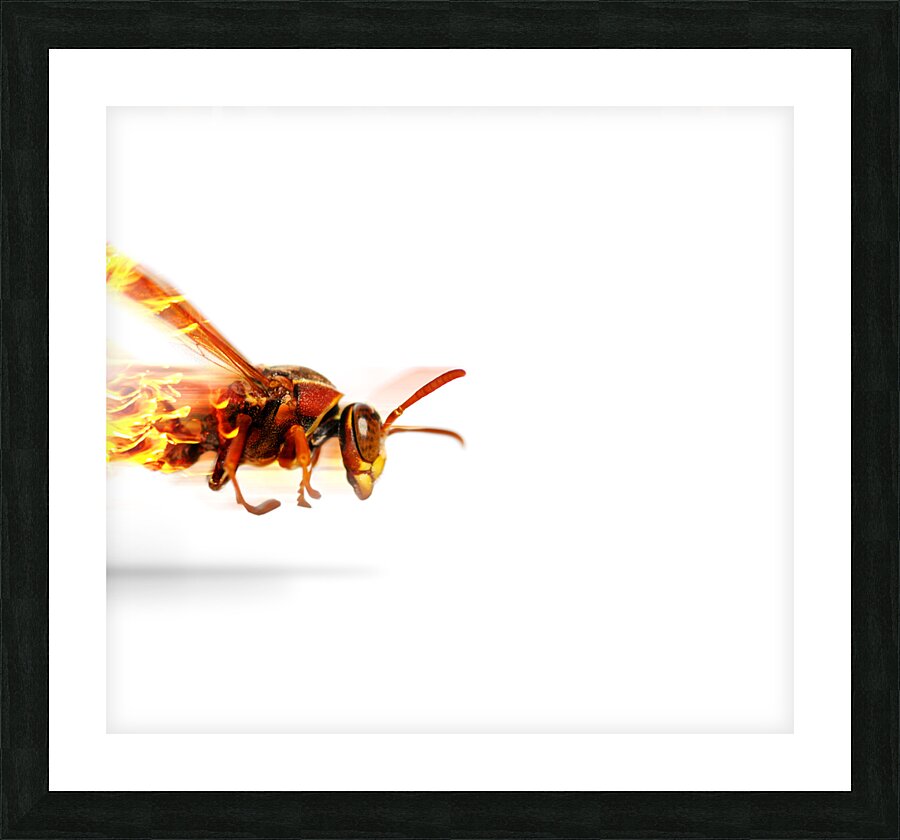 Fire Wasp Racing At Scorching Speed Picture Frame print