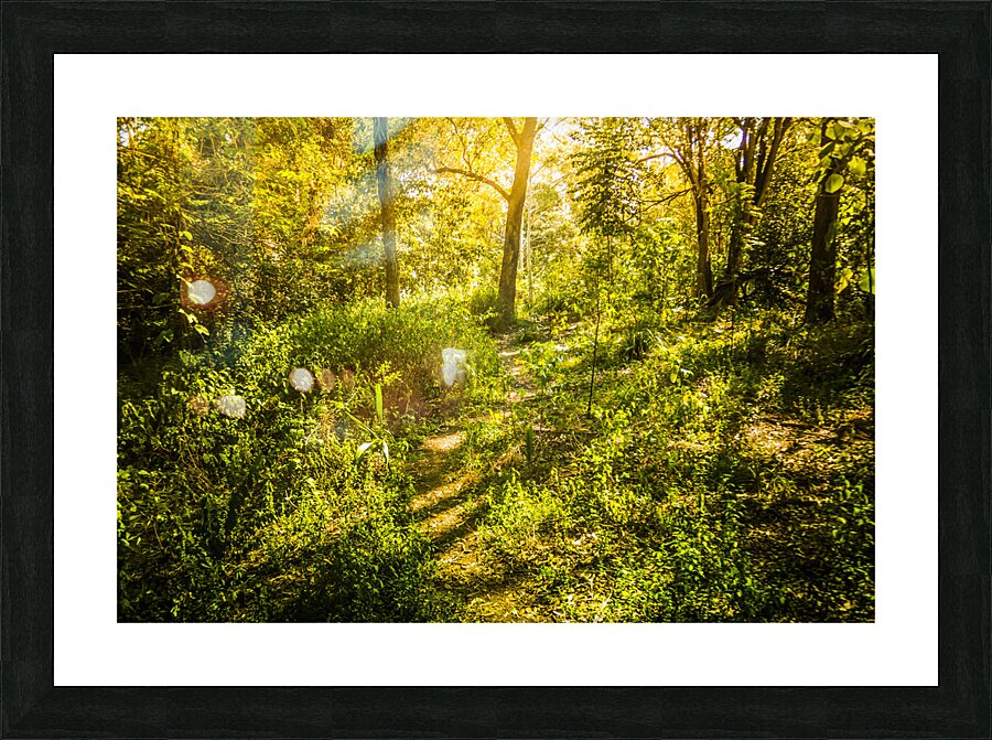 Wander Land  Picture Frame print