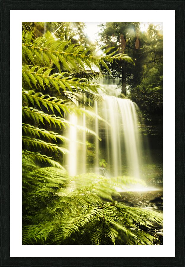 Russell Falls background Picture Frame print