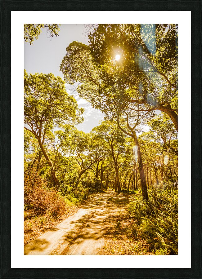 Amity Vl. Picture Frame print