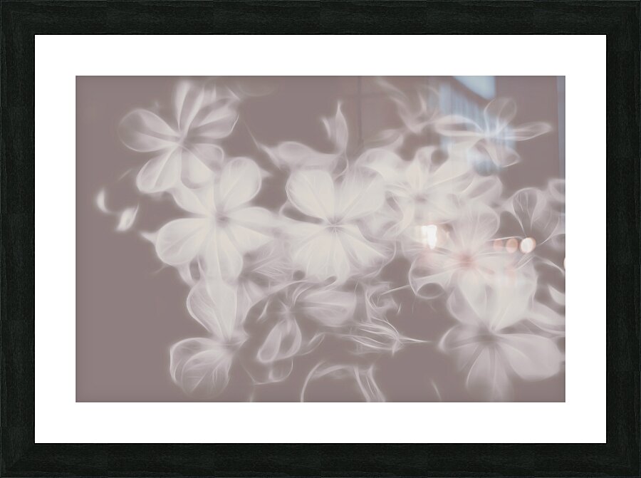 Ghost Flower - Souls in bloom Picture Frame print