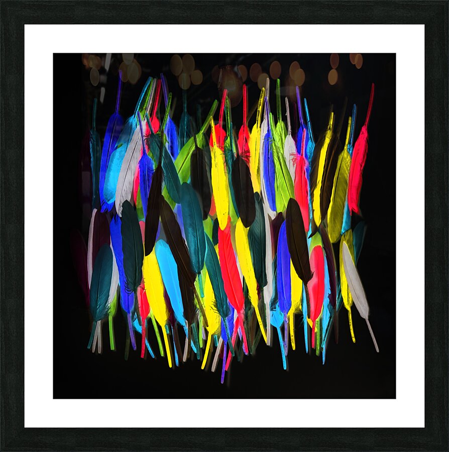 Painterly plumes Picture Frame print