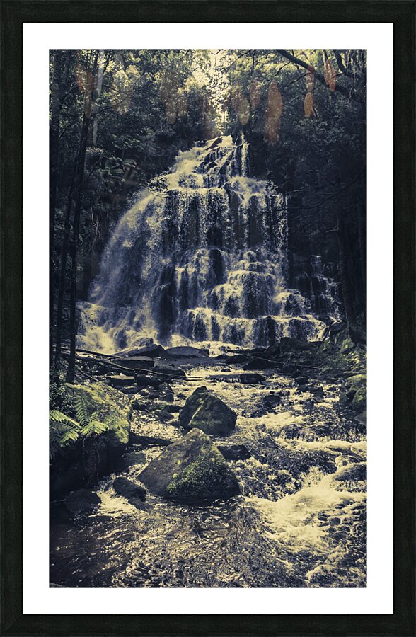 Forest falls Picture Frame print