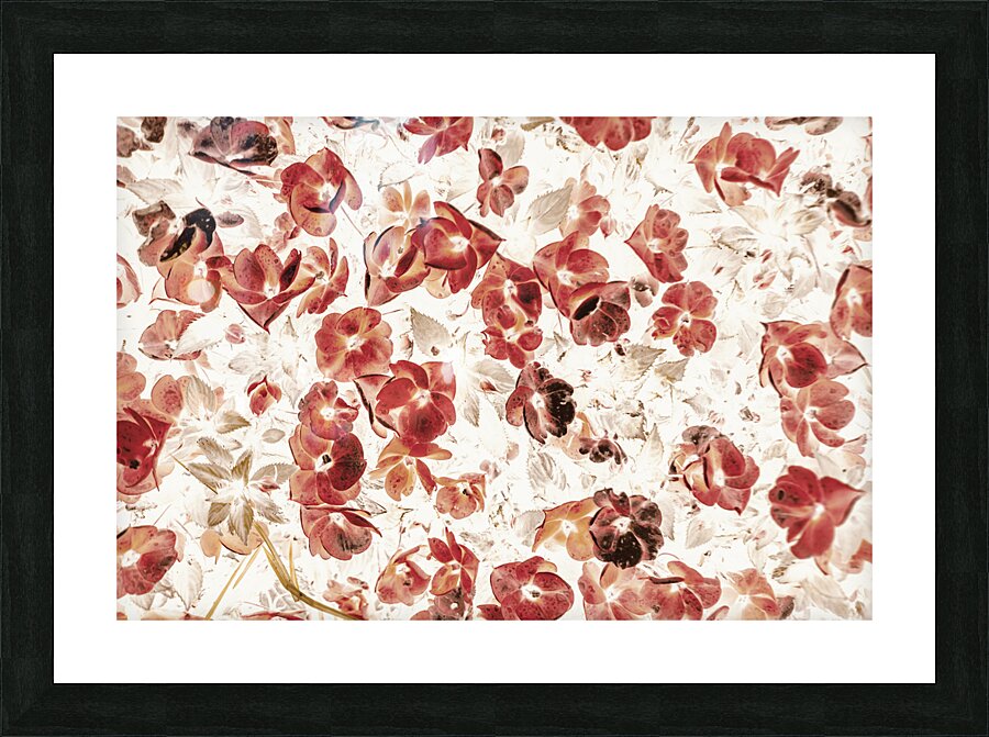 Petal Patch Picture Frame print