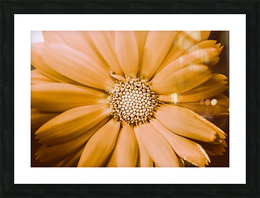 Decorative closeness Picture Frame print