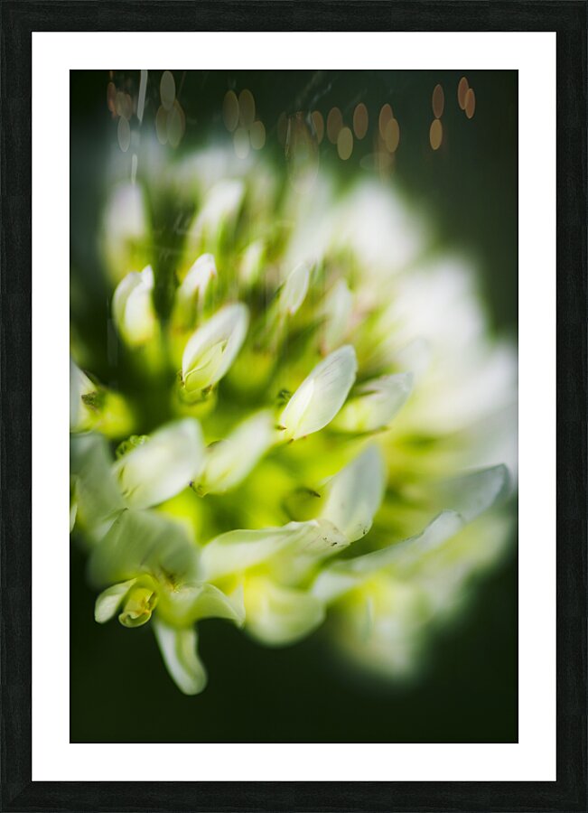 Nature Details Picture Frame print