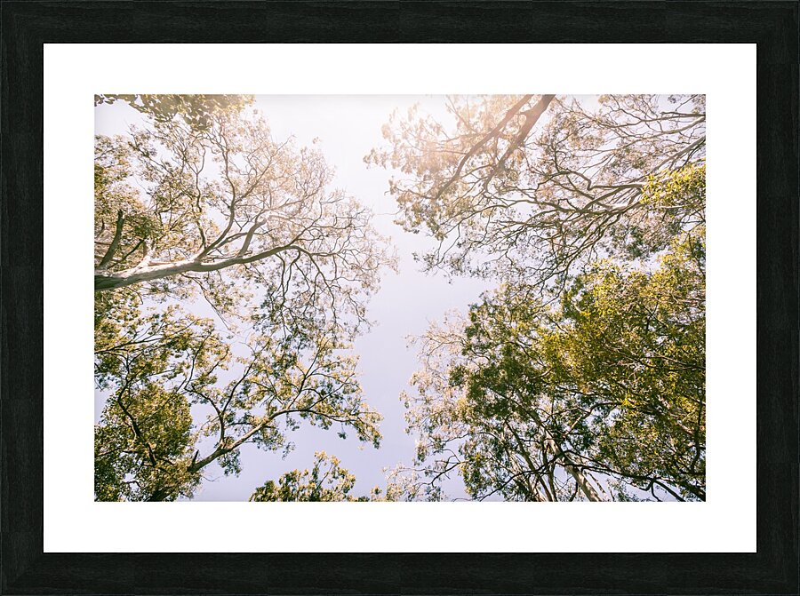 In Springnificant Picture Frame print