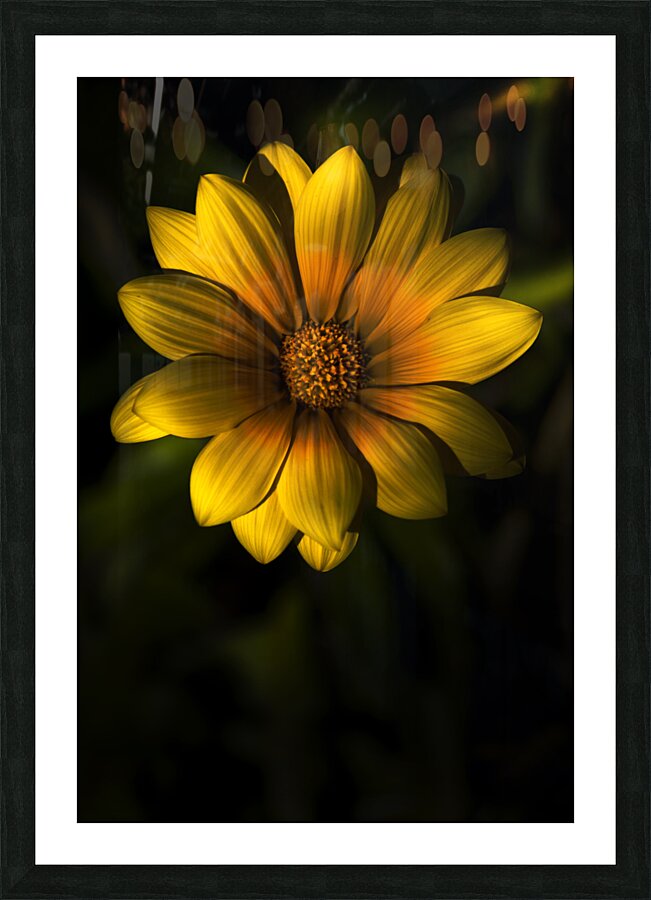 Beginning Of Spring In Flower Picture Frame print