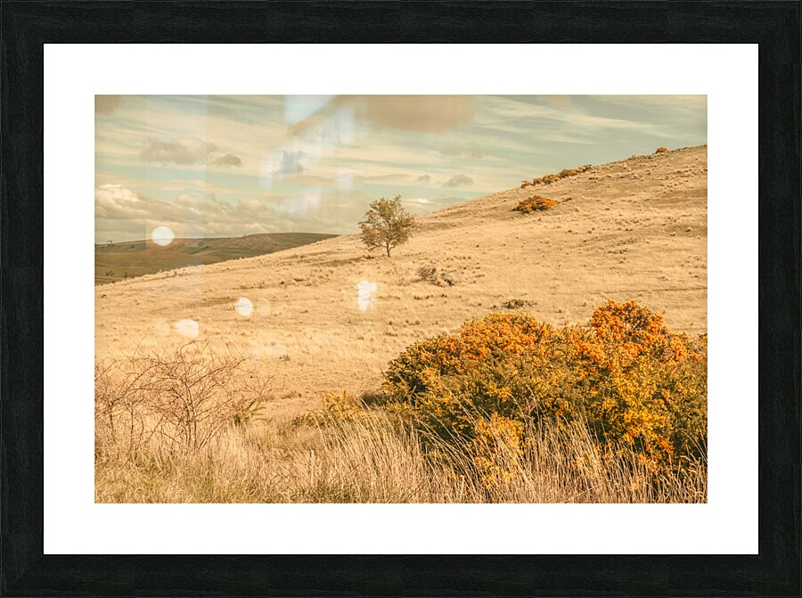 Country colours Picture Frame print