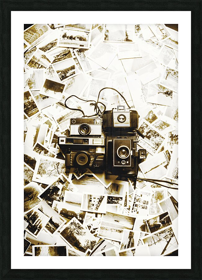 Antique albums Picture Frame print