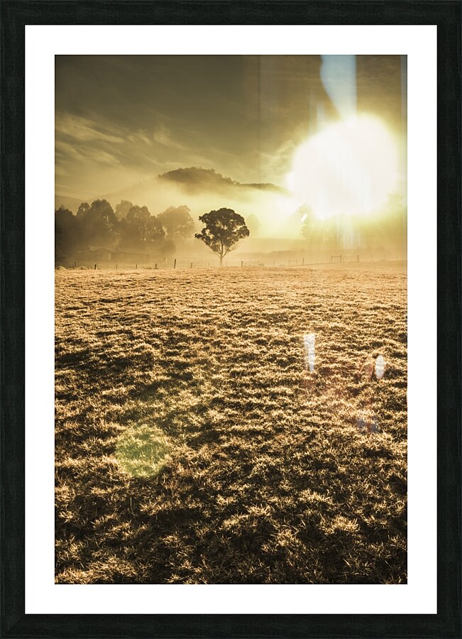 Plain morning Picture Frame print