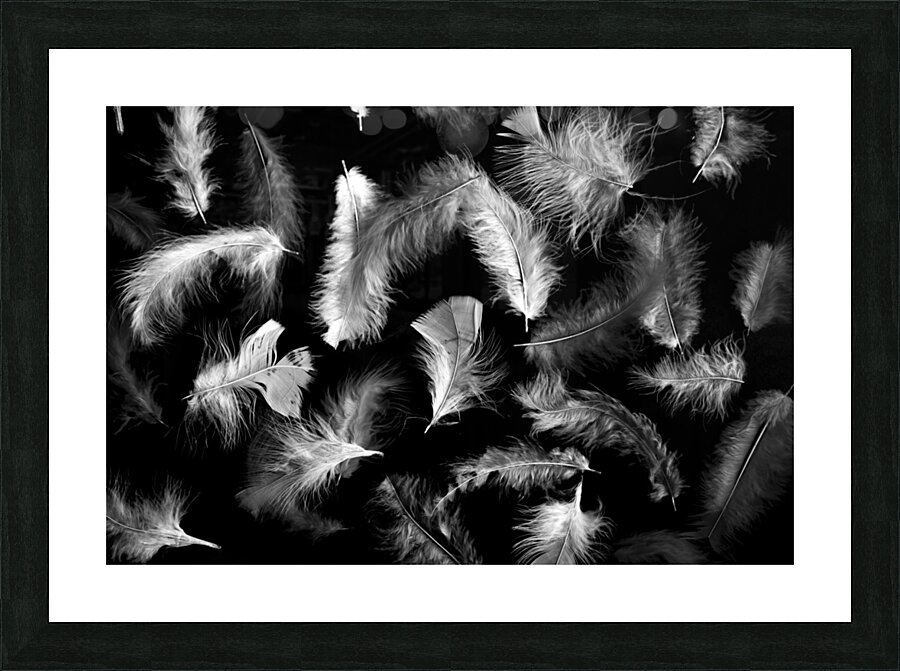 Motions Picture Frame print