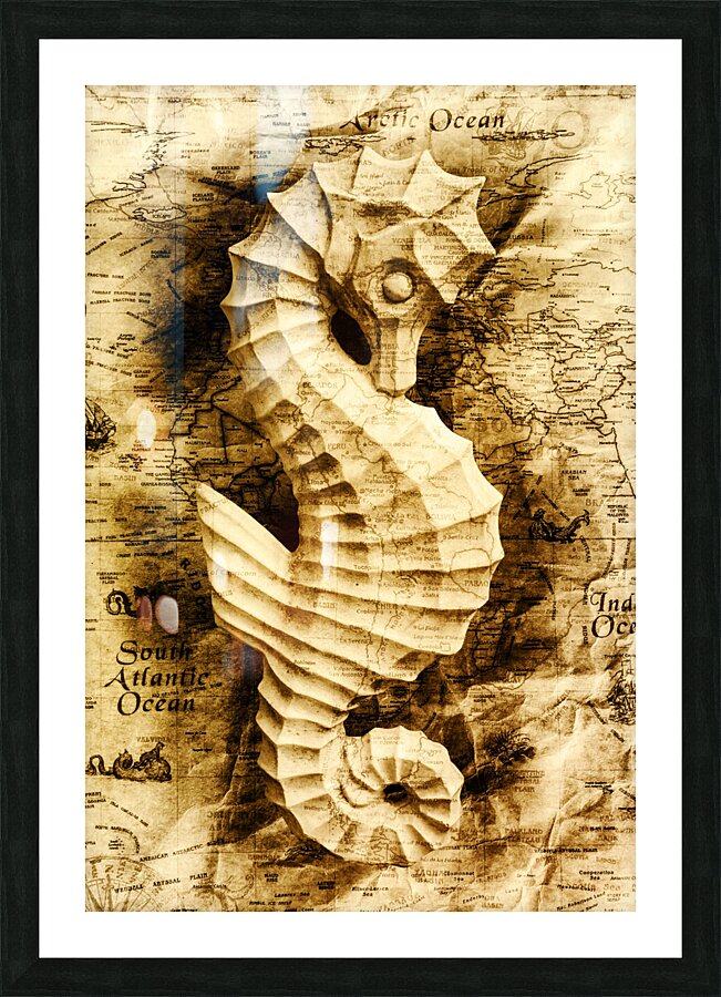 Seahorse Seas Picture Frame print
