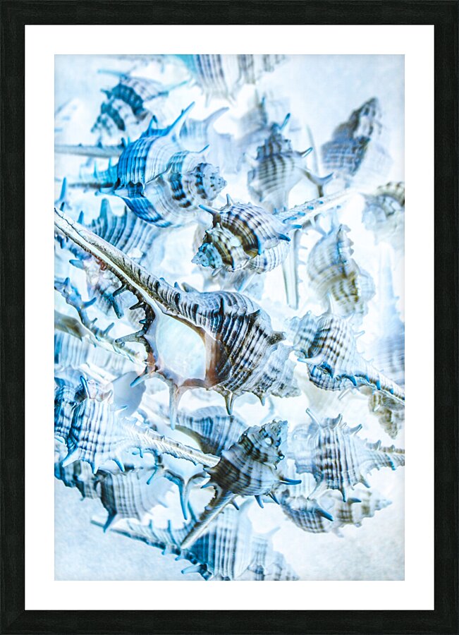 Creative seas Picture Frame print