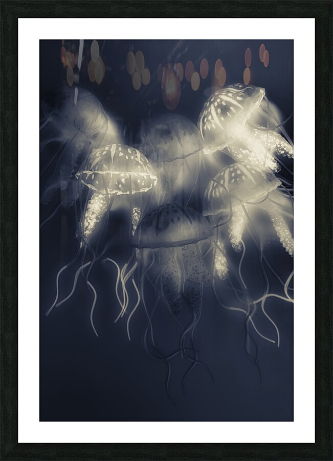 Crepsiculs – An awakening Picture Frame print